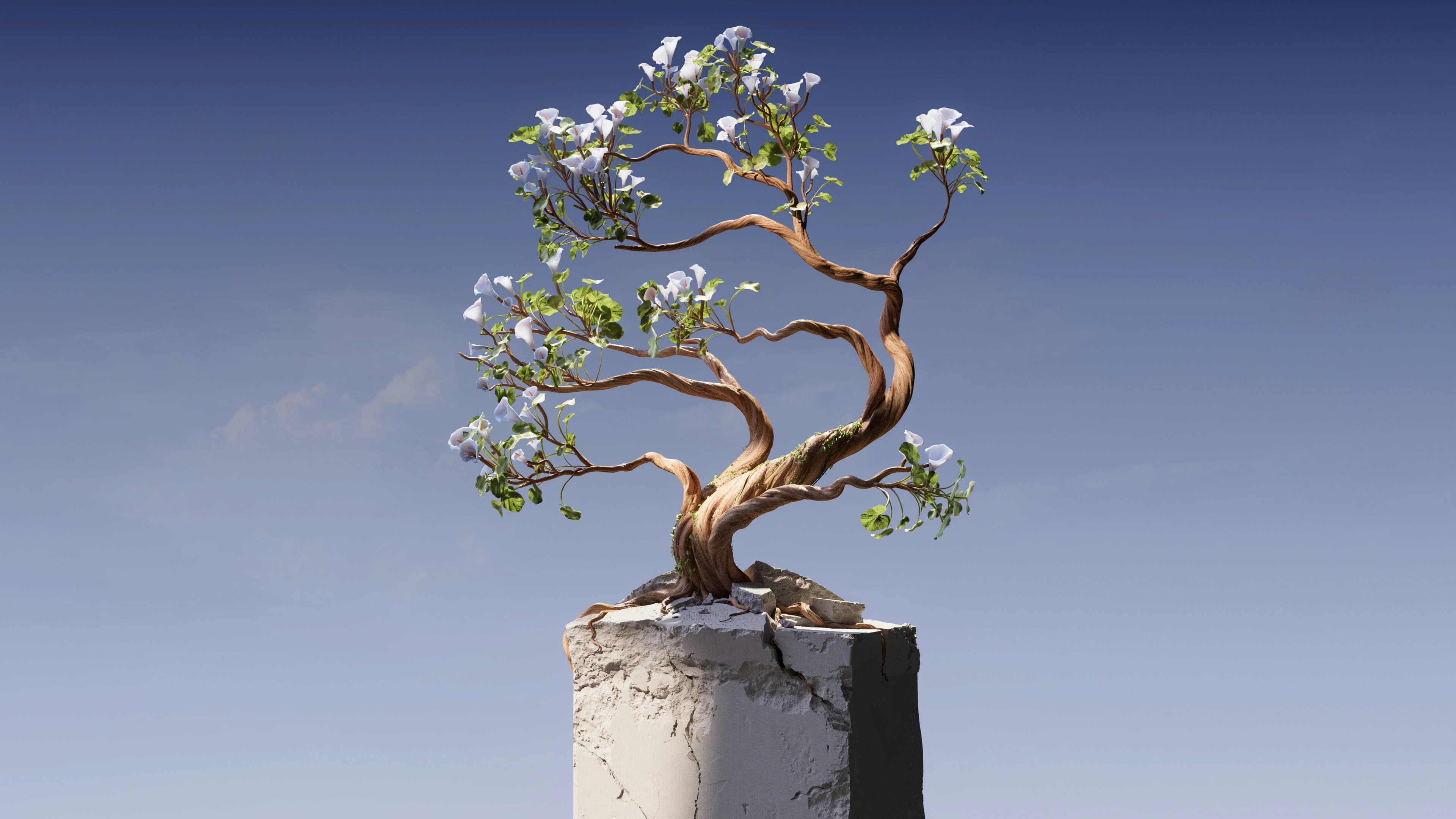 A bonsai tree growing out of a concrete block